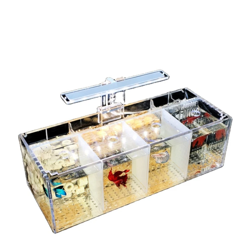 Small Fish Tank with LED Lighting and Filter Pump 5 Gallon Desktop Aquarium Starter Kits
Small Fish Tank with LED Lighting and Filter Pump 5 Gallon Desktop Aquarium Starter Kits