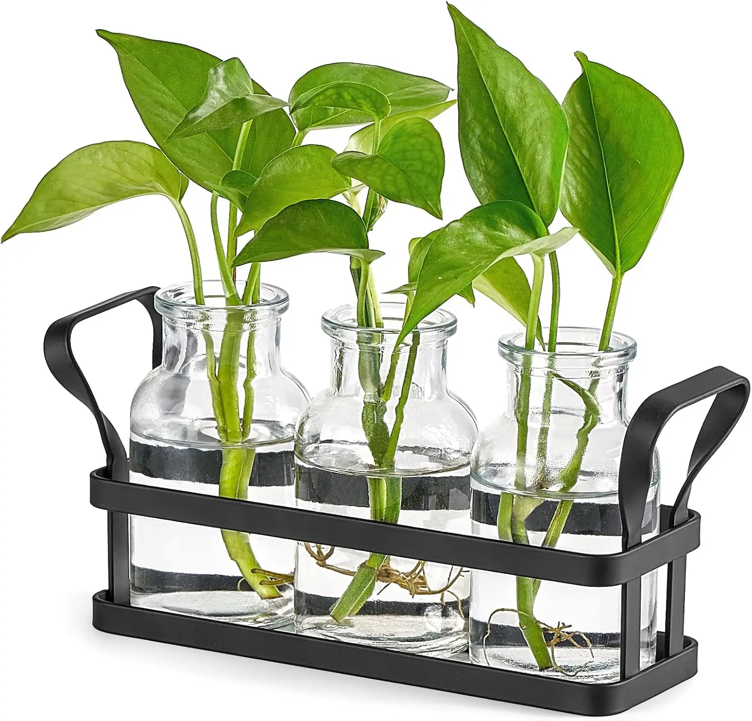3-Jar Desktop Plant Terrarium with Metal Stand for Hydroponic Cuttings, Home Office Decor
3-Jar Desktop Plant Terrarium with Metal Stand for Hydroponic Cuttings, Home Office Decor
