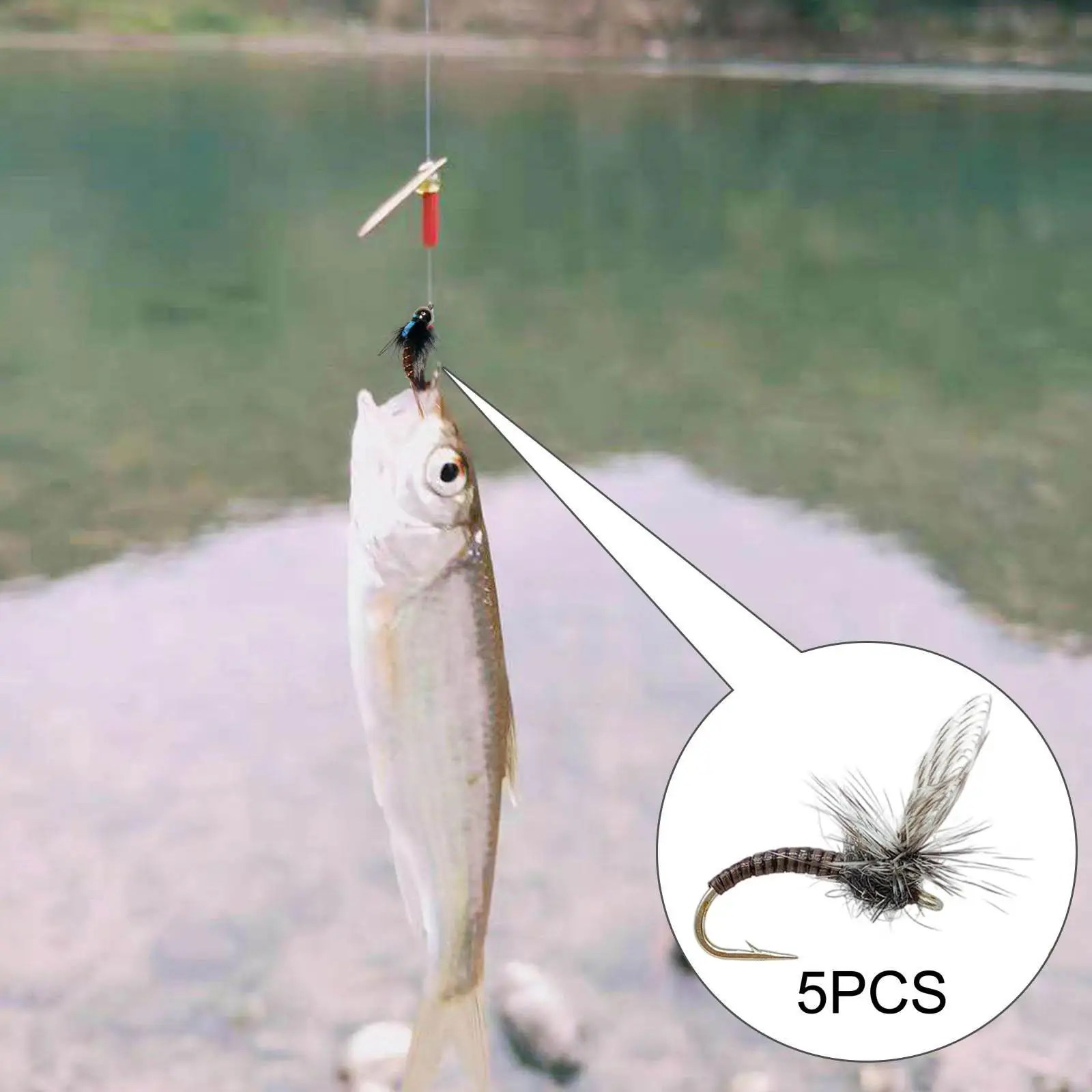 Искусственные приманки для ловли нахлыстом, ассортимент форели, прочный ящик для хранения, колючие крючки для пресноводных спиннинговых рыб, приключения
Искусственные приманки для ловли нахлыстом, ассортимент форели, прочный ящик для хранения, колючие крючки для пресноводных спиннинговых рыб, приключения