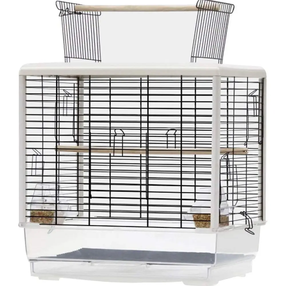 Stainless Steel Ornamental Parrot Cage with Nest Box and Wooden Stand, Easy Assembly Aviary
Stainless Steel Ornamental Parrot Cage with Nest Box and Wooden Stand, Easy Assembly Aviary