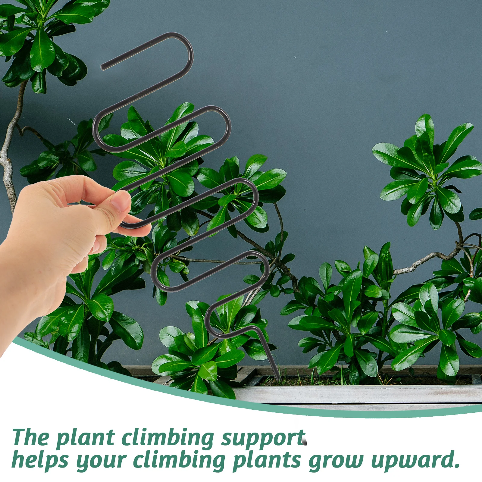 4pcs Iron Garden Climbing Plants Support Rack Metal Plant Trellis For Vines Roses Peas Outdoor Planting Tool Windproof 
4pcs Iron Garden Climbing Plants Support Rack Metal Plant Trellis For Vines Roses Peas Outdoor Planting Tool Windproof