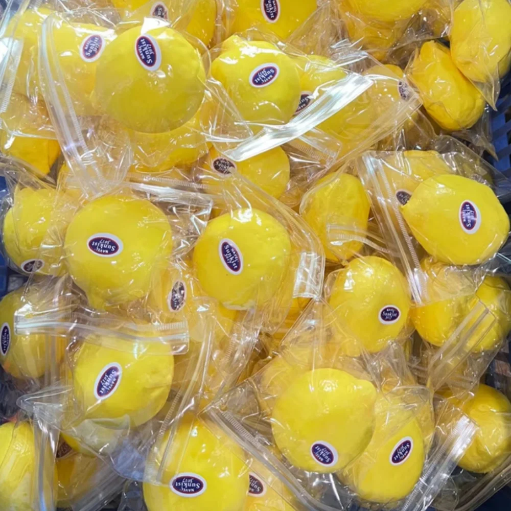 Stress Relief Toy Squishy Lemon Ball Slow Rebound Decompression Fidget Toy Anxiety Relief Desk Toy Gift
Stress Relief Toy Squishy Lemon Ball Slow Rebound Decompression Fidget Toy Anxiety Relief Desk Toy Gift