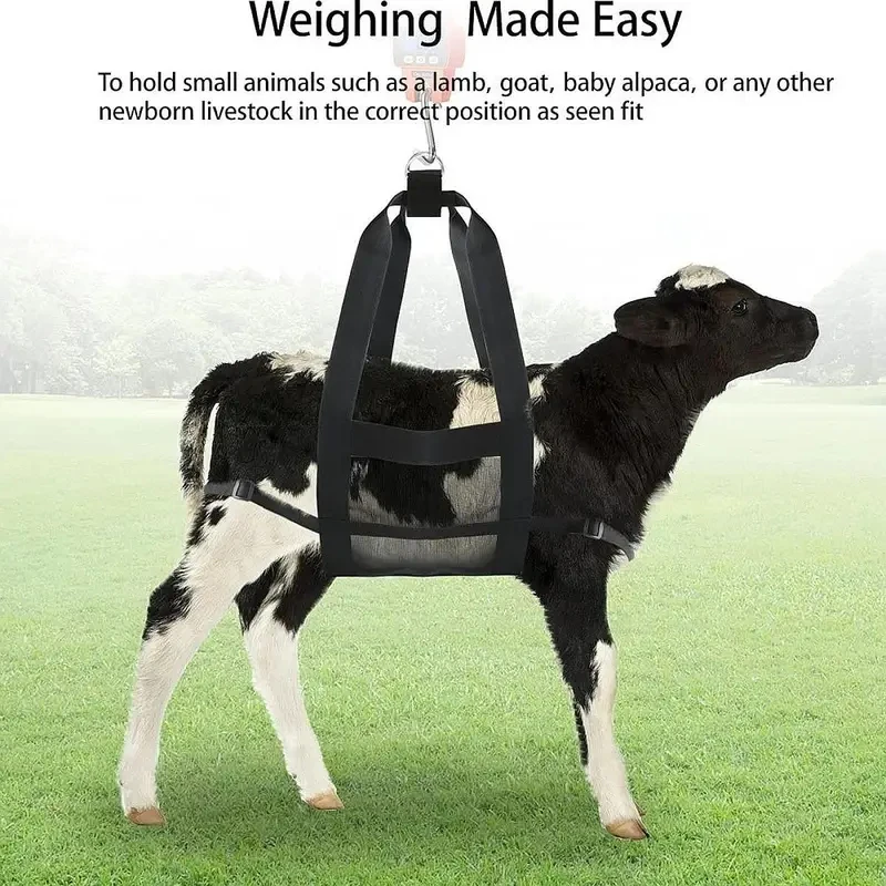 Calf Sling for Weighing Animals Assist Sling Hang Scale with Adjustable Straps for Calves Lambs Goats Baby Alpacas
Calf Sling for Weighing Animals Assist Sling Hang Scale with Adjustable Straps for Calves Lambs Goats Baby Alpacas