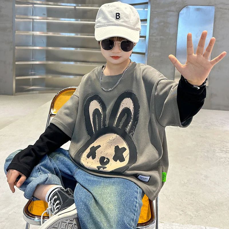 Boys Hoodies Sweatshirts Cotton Tops Outwear 2023 In Stock Spring Autumn Kids High Quality Children's Clothing
Boys Hoodies Sweatshirts Cotton Tops Outwear 2023 In Stock Spring Autumn Kids High Quality Children's Clothing