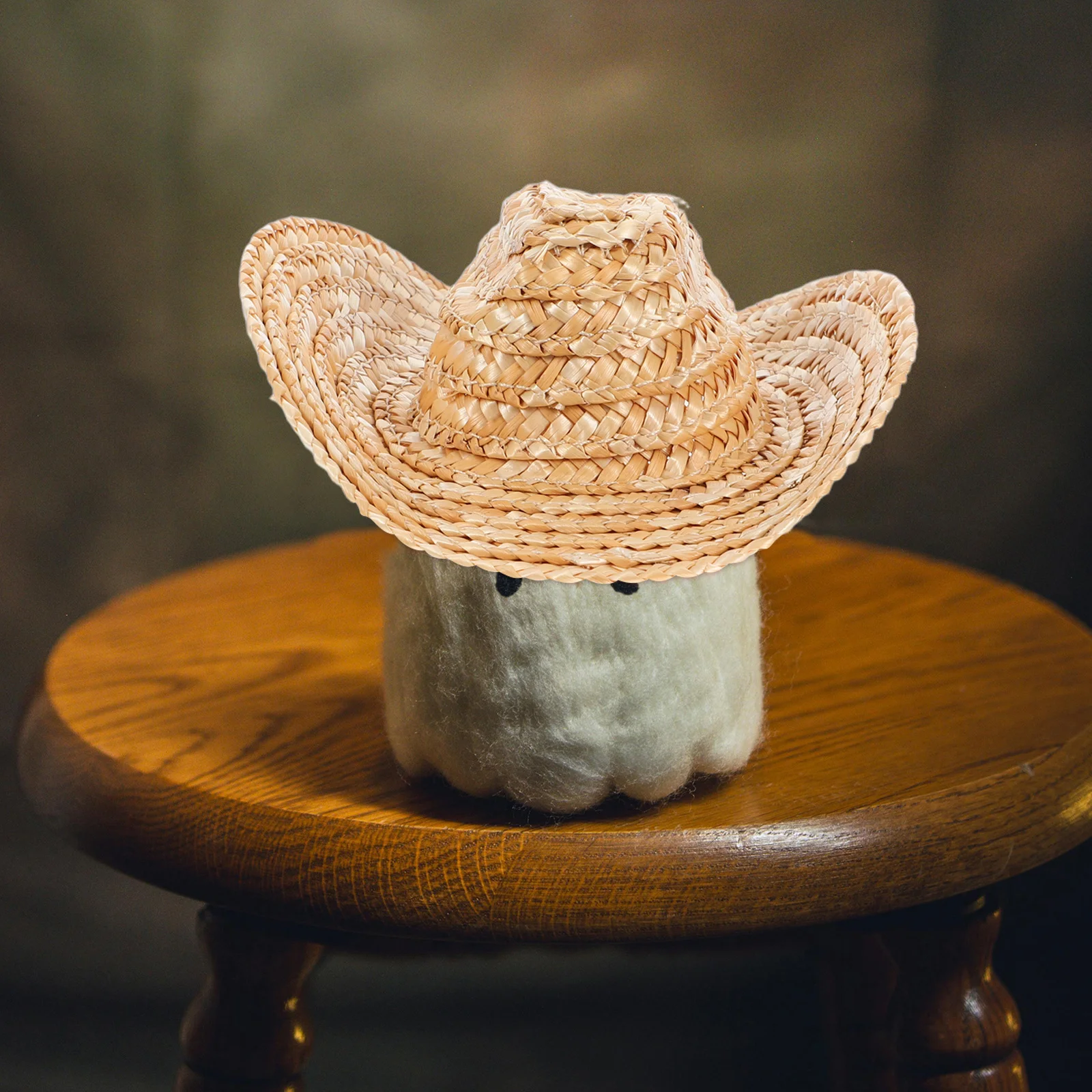 2Pcs Mini Western Straw Hats Mini Cowboy Pet Hat for Crafts Photoshoot Props Miniature Hats Miniature Western Hat
2Pcs Mini Western Straw Hats Mini Cowboy Pet Hat for Crafts Photoshoot Props Miniature Hats Miniature Western Hat