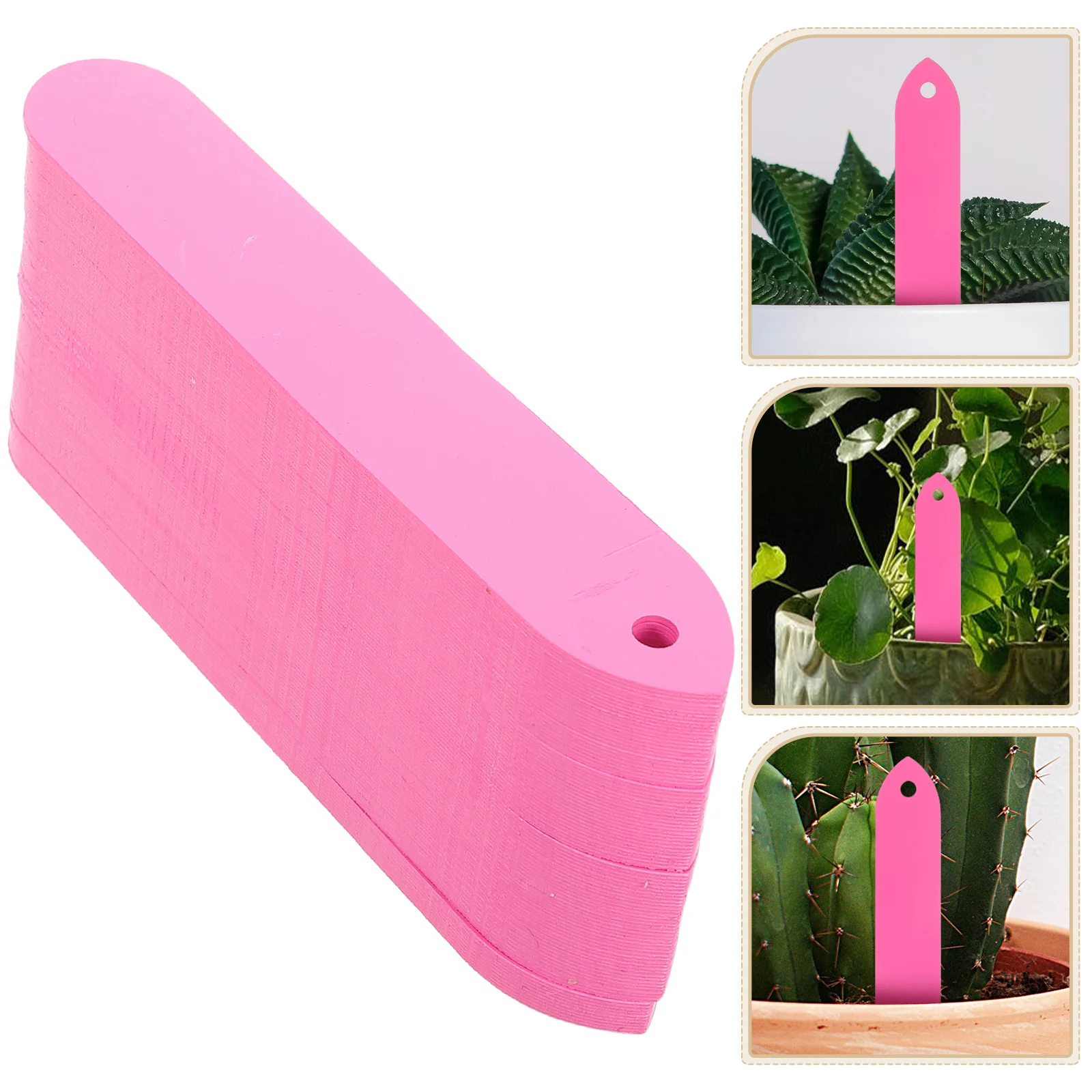 100pcs Plastic Plant Labels Garden Name Tags For Flower Pots Garden Markers Tags For Outdoor Plants Flower Markers Cactus Plant
100pcs Plastic Plant Labels Garden Name Tags For Flower Pots Garden Markers Tags For Outdoor Plants Flower Markers Cactus Plant