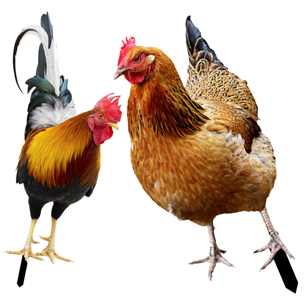 2Pcs Double Sided Acrylic Garden Chicken Stake Decorative Yard Lawn nament Simulation Insert Garden Decoration
2Pcs Double Sided Acrylic Garden Chicken Stake Decorative Yard Lawn nament Simulation Insert Garden Decoration