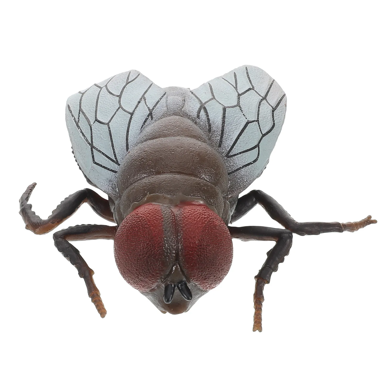 Realistic Solid Educational Prank Prop Ideal for April Fools Halloween Party Decorations Cognitive Insect Play
Realistic Solid Educational Prank Prop Ideal for April Fools Halloween Party Decorations Cognitive Insect Play