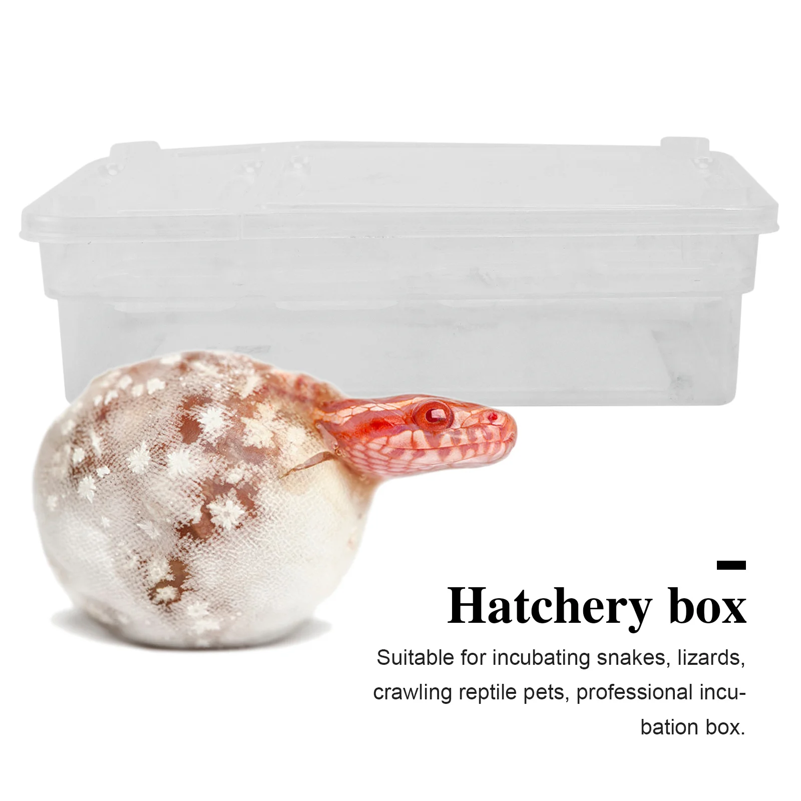 Reptile Hatching Box Plastic Breeding Incubation Box Transparent Walls Easy Observation Hatchery Container for Snakes Lizards
Reptile Hatching Box Plastic Breeding Incubation Box Transparent Walls Easy Observation Hatchery Container for Snakes Lizards