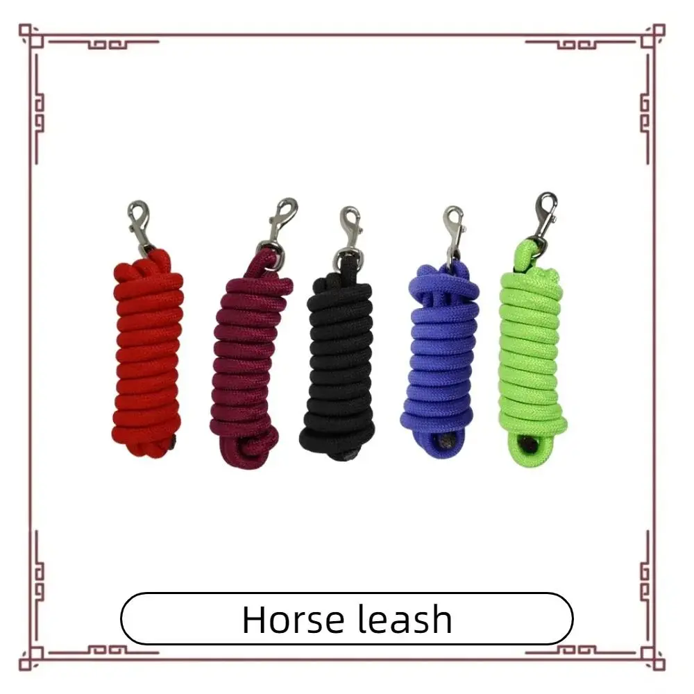 1Pcs 250cm Horse Lead Rope Resistant with Bolt Snap Clip Training Rein Reinforced Heavy Duty Lunge Line for Training Walking
1Pcs 250cm Horse Lead Rope Resistant with Bolt Snap Clip Training Rein Reinforced Heavy Duty Lunge Line for Training Walking