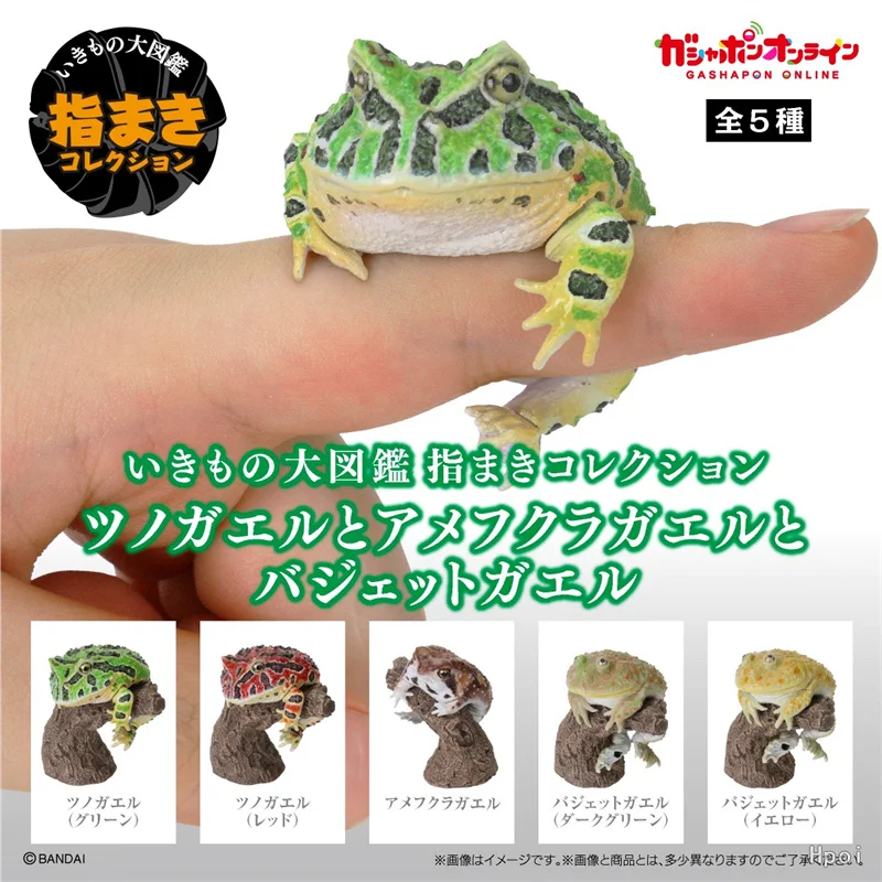 Bandai Original 5Pcs Gashapon ツノガエルとアメフクラガエルとバジェットガエル Toys For Kids Gift Collectible Model Ornaments
Bandai Original 5Pcs Gashapon ツノガエルとアメフクラガエルとバジェットガエル Toys For Kids Gift Collectible Model Ornaments