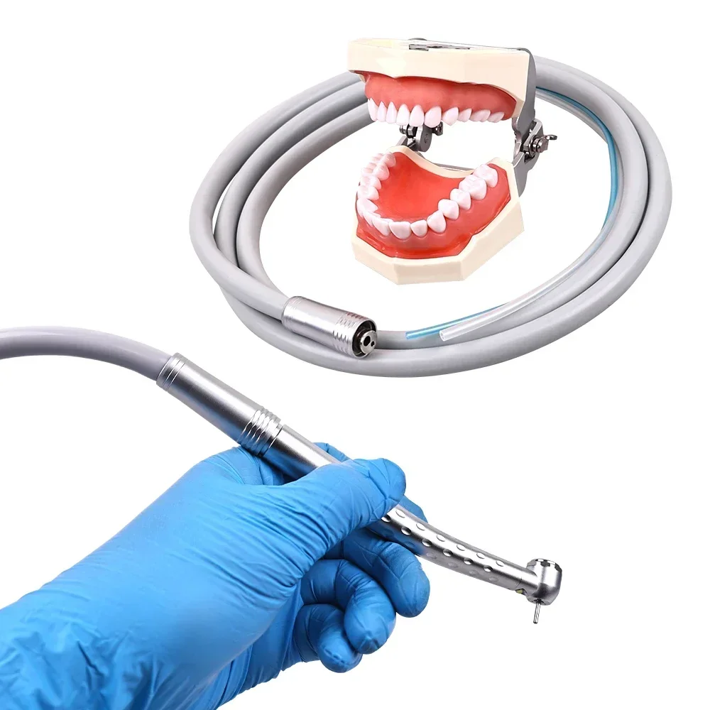 Dental Silicone Hose Dental Handpiece Hose Tube 2/4 Holes For Dental High Speed Tracheal Water Pipe Pipeline Dentistry Materials
Dental Silicone Hose Dental Handpiece Hose Tube 2/4 Holes For Dental High Speed Tracheal Water Pipe Pipeline Dentistry Materials