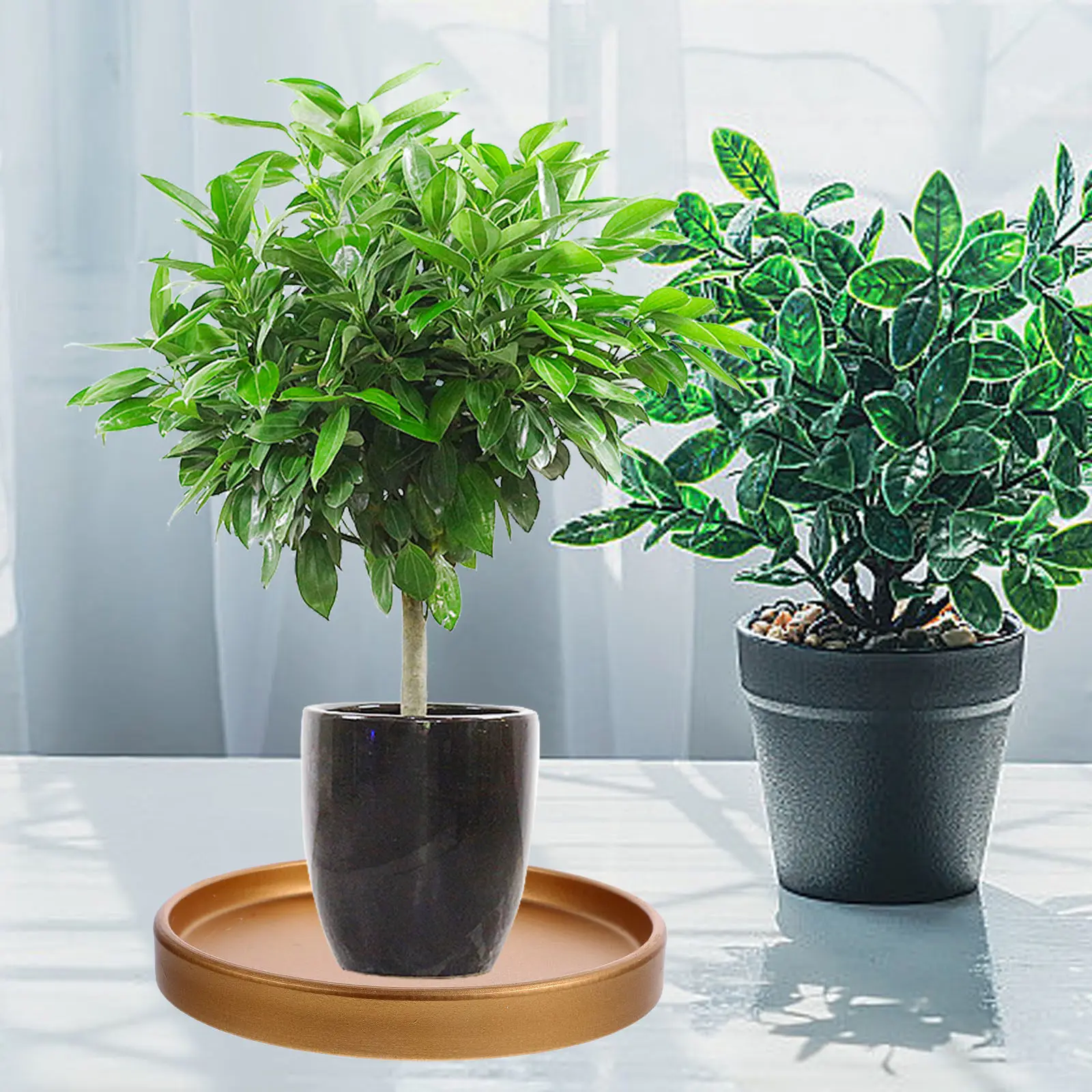3Pcs Ceramic Plant Pot Saucer Round Flowerpot Tray Water Drainage Drip Tray for Potted Plants Bonsai Indoor Gardening
3Pcs Ceramic Plant Pot Saucer Round Flowerpot Tray Water Drainage Drip Tray for Potted Plants Bonsai Indoor Gardening