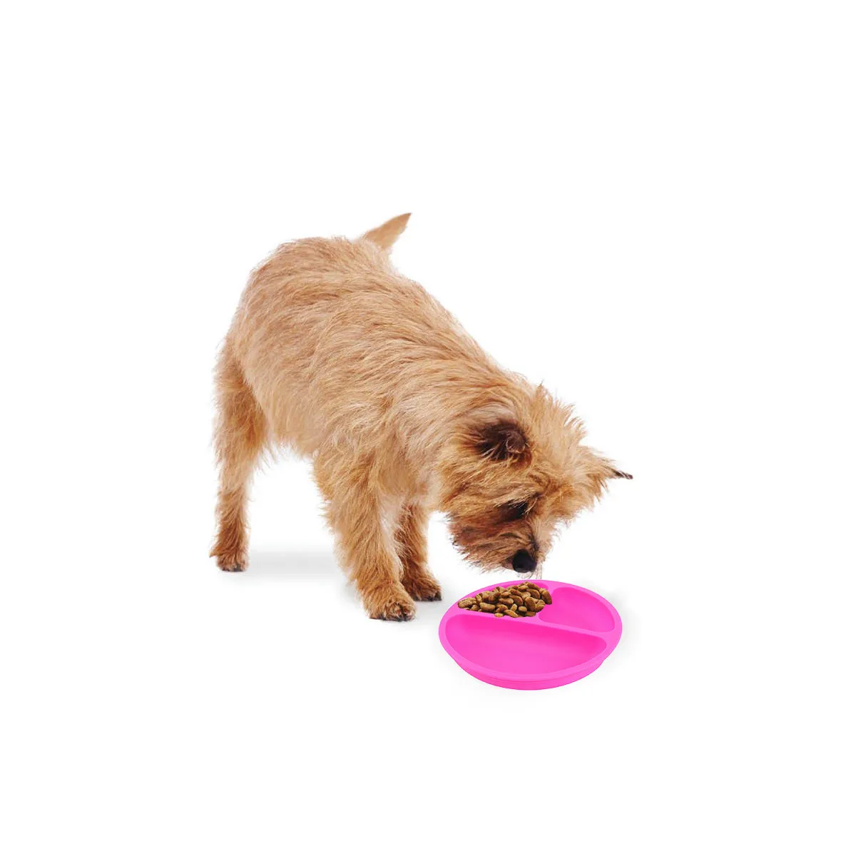 2pcs Divided Bowl Plate Anti-Break Baby Kids Dining Tray 3 Sections Food Grade Safe Durable Easy Clean Kids Plates
2pcs Divided Bowl Plate Anti-Break Baby Kids Dining Tray 3 Sections Food Grade Safe Durable Easy Clean Kids Plates
