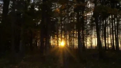 Комплект из 4-х дисков RC Rims 1.9 дюйма с бедлоком и ступицами для радиоуправляемых краулеров 1:10 Axial SCX10 II 90046, SCX10 III, AXI03007, TRX4, D90
Комплект из 4-х дисков RC Rims 1.9 дюйма с бедлоком и ступицами для радиоуправляемых краулеров 1:10 Axial SCX10 II 90046, SCX10 III, AXI03007, TRX4, D90