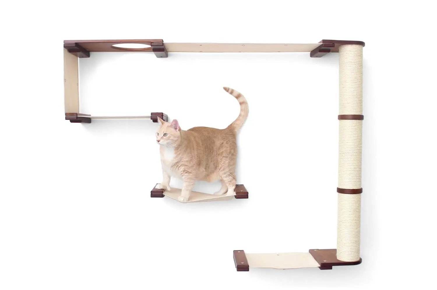 Wall Mounted Cat Climbing Shelves Scratch Jump Platform Indoor Play One Size Customized
Wall Mounted Cat Climbing Shelves Scratch Jump Platform Indoor Play One Size Customized