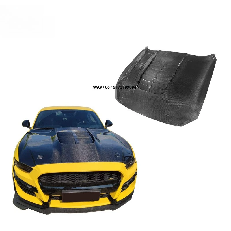 15-17 Models for Mustang Modified GT500 Hood
15-17 Models for Mustang Modified GT500 Hood