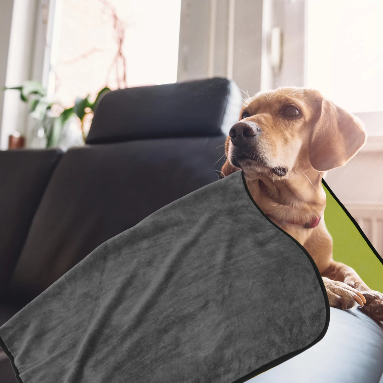 for Quick Dry Cats Ultra Pet Supplies Dry Large Thick Pet Supplies Dog Bath Towel Cat Bath Towel 
for Quick Dry Cats Ultra Pet Supplies Dry Large Thick Pet Supplies Dog Bath Towel Cat Bath Towel