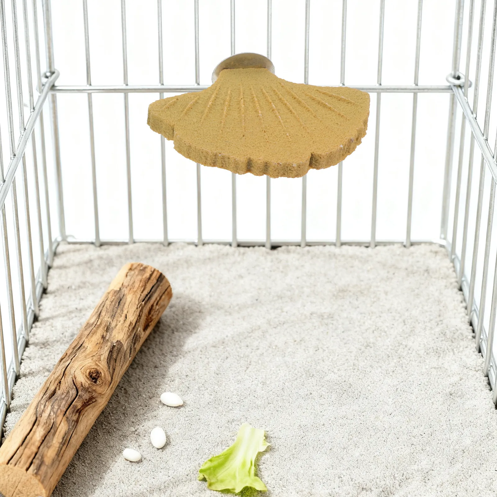 3Pcs Parrot Perch Stand Platform Bird Cage Accessories Nail Grinding Paw Stick Cockatiel Budgie Parakeet Resting Holder Exercise
3Pcs Parrot Perch Stand Platform Bird Cage Accessories Nail Grinding Paw Stick Cockatiel Budgie Parakeet Resting Holder Exercise