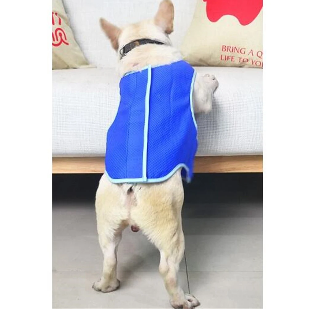 Pet Cooling Vest Ultra Breathable Lightweight Dog Cooling Jacket for Medium Dogs Small Clothes Outdoor Harness
Pet Cooling Vest Ultra Breathable Lightweight Dog Cooling Jacket for Medium Dogs Small Clothes Outdoor Harness