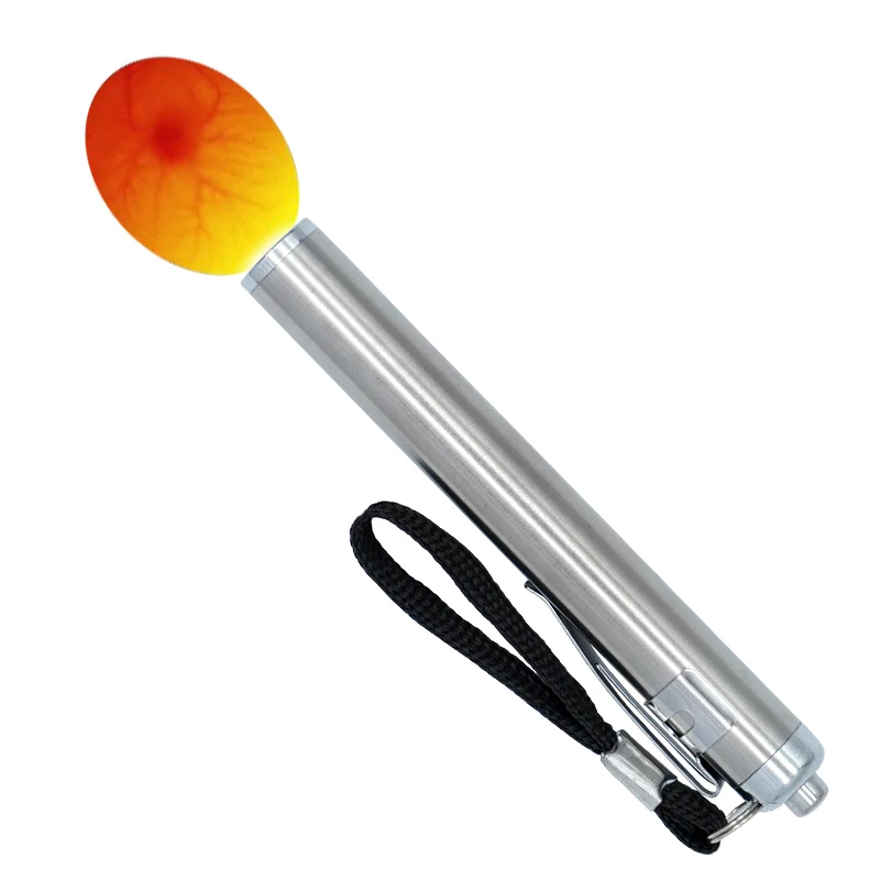 Egg Candler Tester, Bright Cool LED Light Candling Lamp for All Chicken Dark Quail Duck Canary Eggs
Egg Candler Tester, Bright Cool LED Light Candling Lamp for All Chicken Dark Quail Duck Canary Eggs