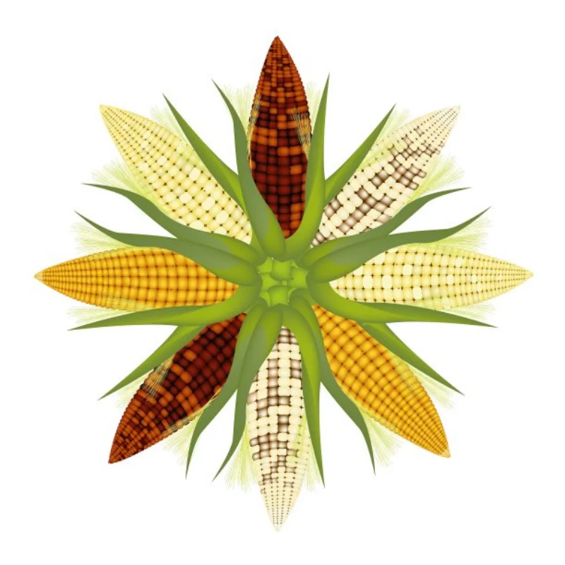 Красочные алюминиевые + латунные колесные диски с бусинами 1,1 дюйма для 1/18 TRX4M 1/24 SCX24 AX24 FMS 
Красочные алюминиевые + латунные колесные диски с бусинами 1,1 дюйма для 1/18 TRX4M 1/24 SCX24 AX24 FMS