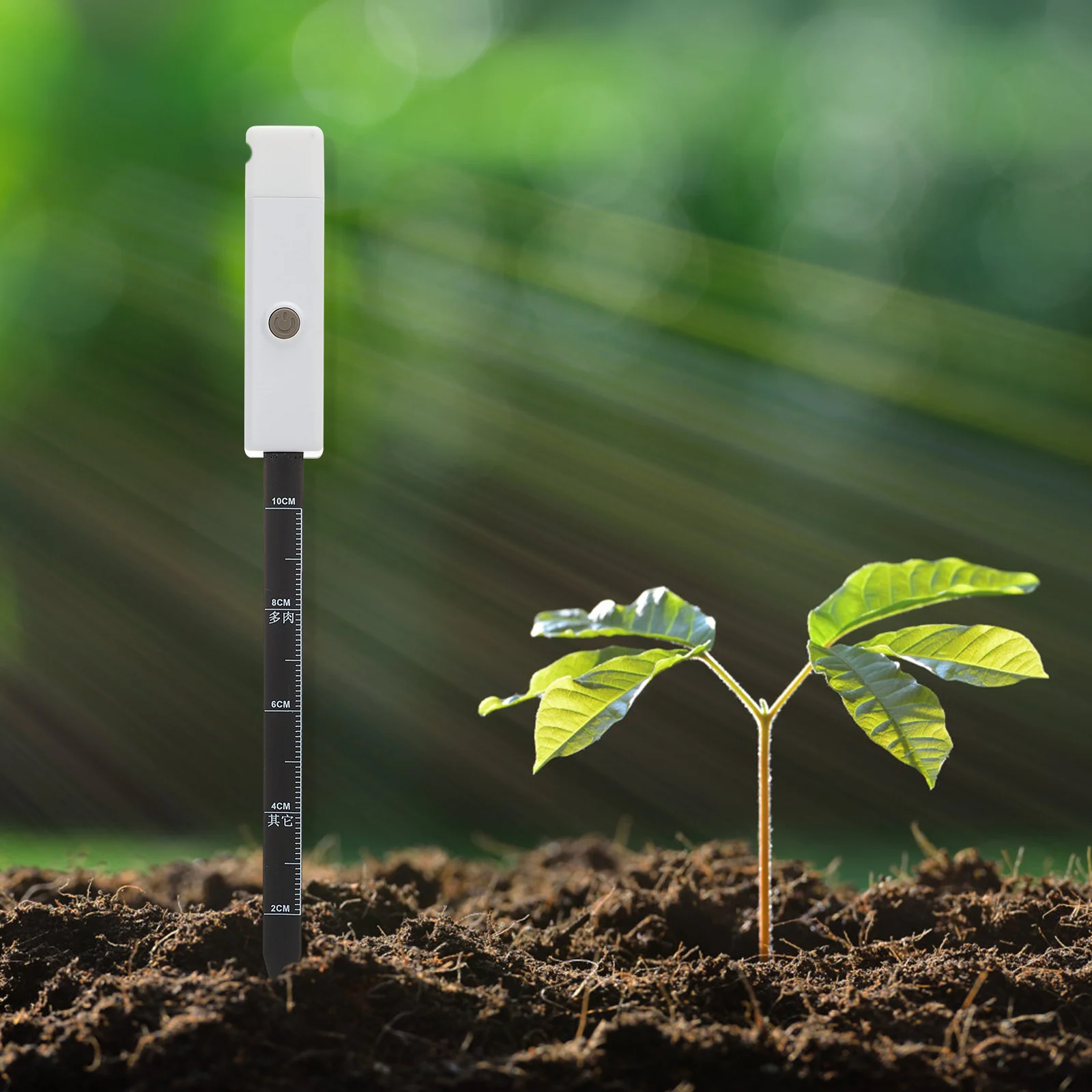 1Pcs Soil Moisture Meter High Accuracy Instant Reading Hygrometer for Garden Indoor Planting Soil Moisture Meter
1Pcs Soil Moisture Meter High Accuracy Instant Reading Hygrometer for Garden Indoor Planting Soil Moisture Meter