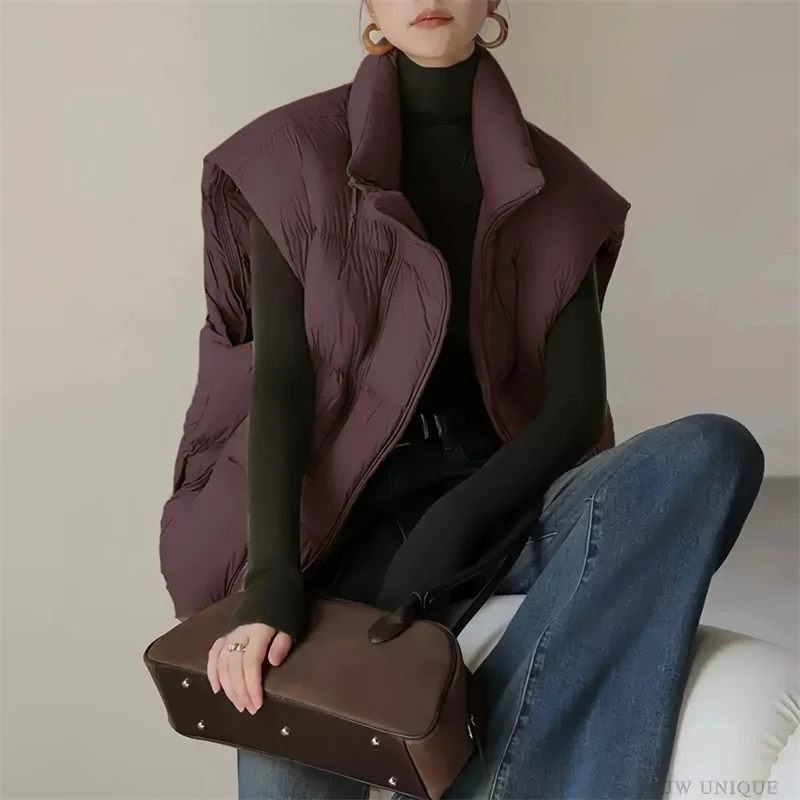 Пуховик больших размеров с хлопковой подкладкой, женские парки, осень-зима, новинка 2025, пальто без рукавов, короткий жилет с двойной молнией, топ
Пуховик больших размеров с хлопковой подкладкой, женские парки, осень-зима, новинка 2025, пальто без рукавов, короткий жилет с двойной молнией, топ