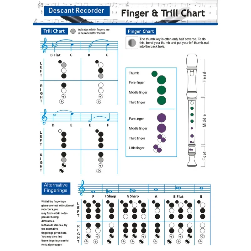 Wholesale Recorder and String Fingering Chart, Eight-hole Recorder and String Spectrum, Recorder Fingering Table
Wholesale Recorder and String Fingering Chart, Eight-hole Recorder and String Spectrum, Recorder Fingering Table