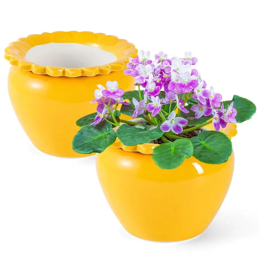 Набор из 2-х самополивающихся горшков Ran, 6,5 дюймов, желтые, для комнатных растений, травянистых растений, цветов, терракотовые горшки, африканский дизайн
Набор из 2-х самополивающихся горшков Ran, 6,5 дюймов, желтые, для комнатных растений, травянистых растений, цветов, терракотовые горшки, африканский дизайн