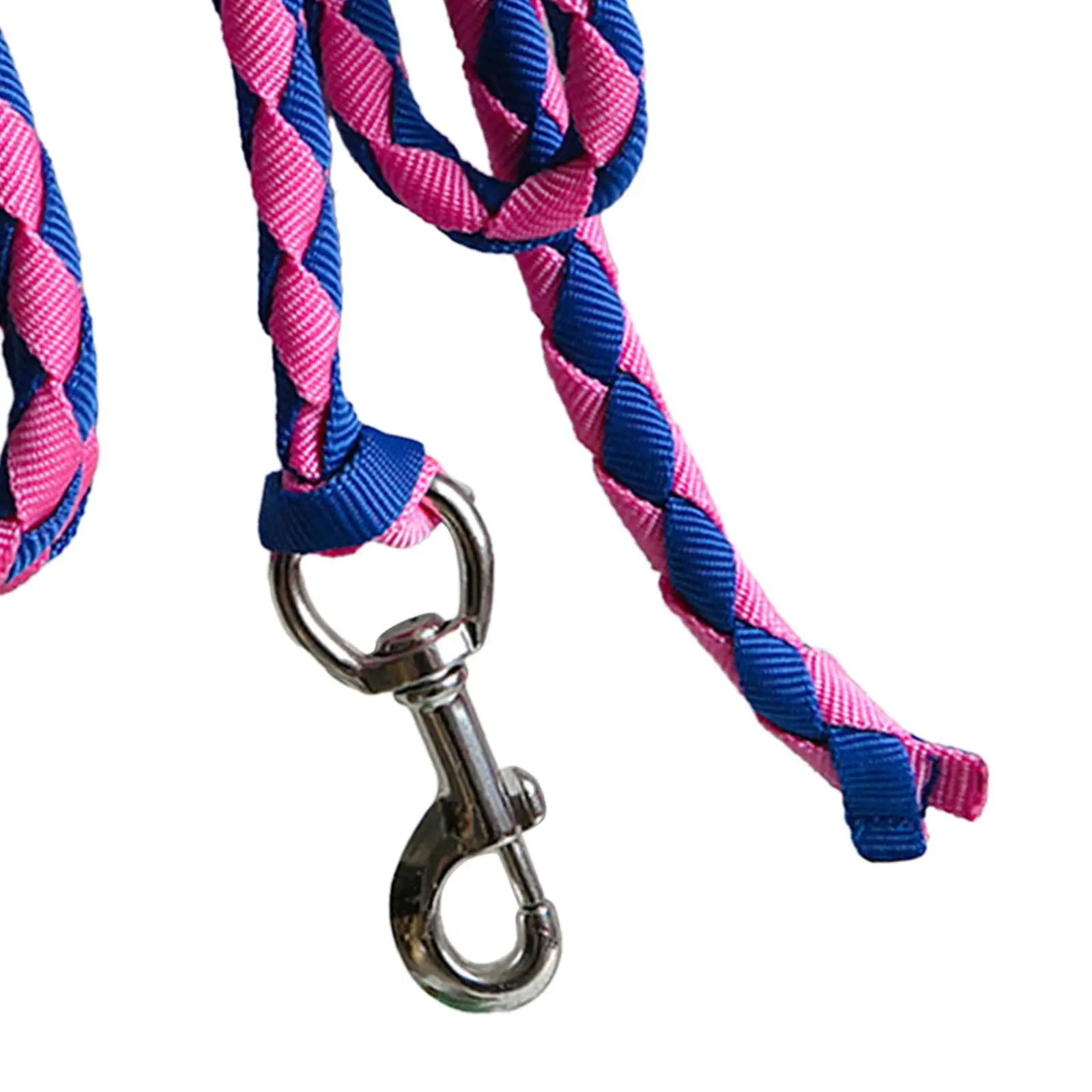 Webbing Horse Lead Rope Heavy Duty Snap Hook Lead Rope for Stable Accessories and Horse Training for Livestock
Webbing Horse Lead Rope Heavy Duty Snap Hook Lead Rope for Stable Accessories and Horse Training for Livestock