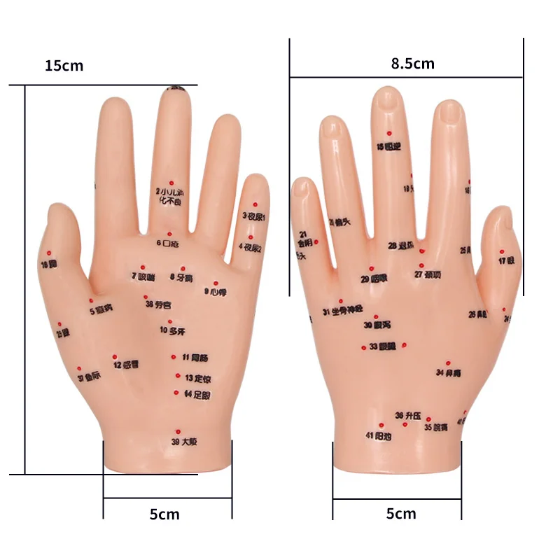 Mannequin Hand Model Acupuncture Model Acupuncture Point Model Medical Science Hand Acupuncture Teaching modelTraditional
Mannequin Hand Model Acupuncture Model Acupuncture Point Model Medical Science Hand Acupuncture Teaching modelTraditional