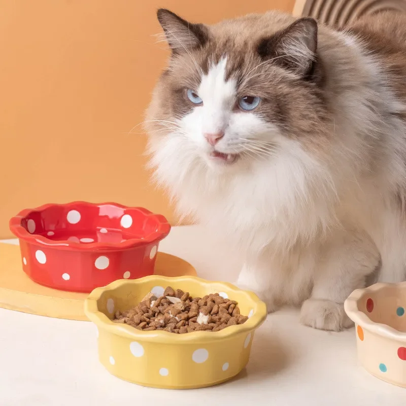 Cartoon Cat Food Bowl Water Bowl Pet Feeding Station Pet Bowl Cat Dish Food Container Water Dispenser Pet Feeder Pets Supplies
Cartoon Cat Food Bowl Water Bowl Pet Feeding Station Pet Bowl Cat Dish Food Container Water Dispenser Pet Feeder Pets Supplies