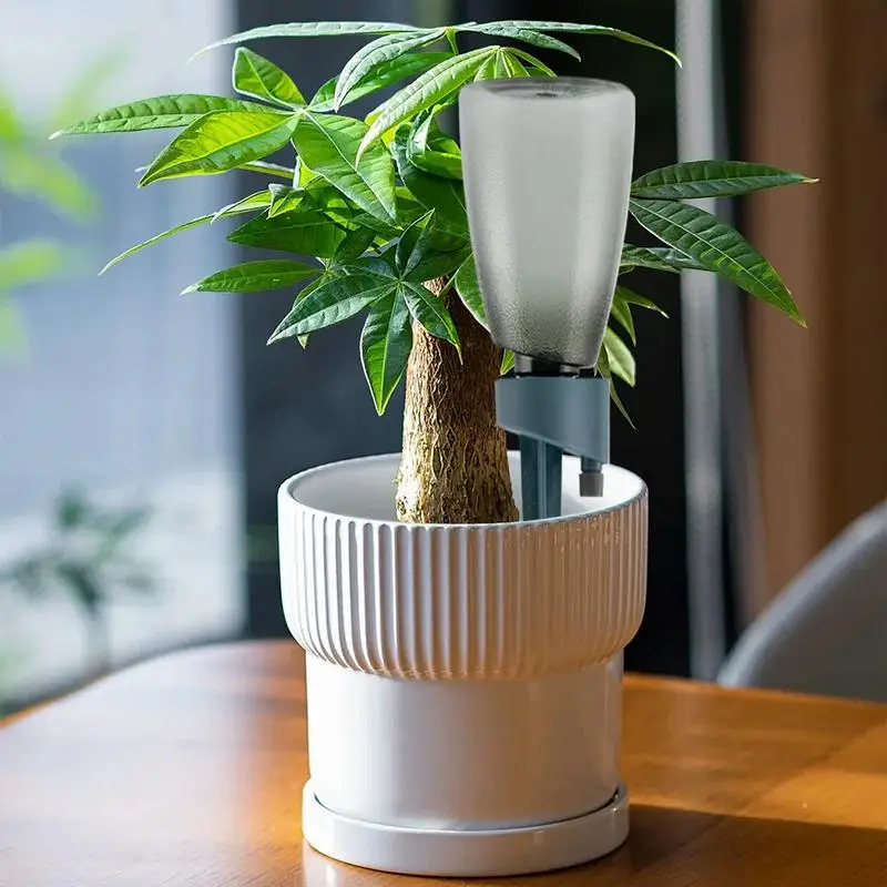Watering Spikes For Indoor Plants 6 Pieces Bottle Plant Waterer Slow Release Control Valve Dripper Automatic Dripper For Balcony
Watering Spikes For Indoor Plants 6 Pieces Bottle Plant Waterer Slow Release Control Valve Dripper Automatic Dripper For Balcony