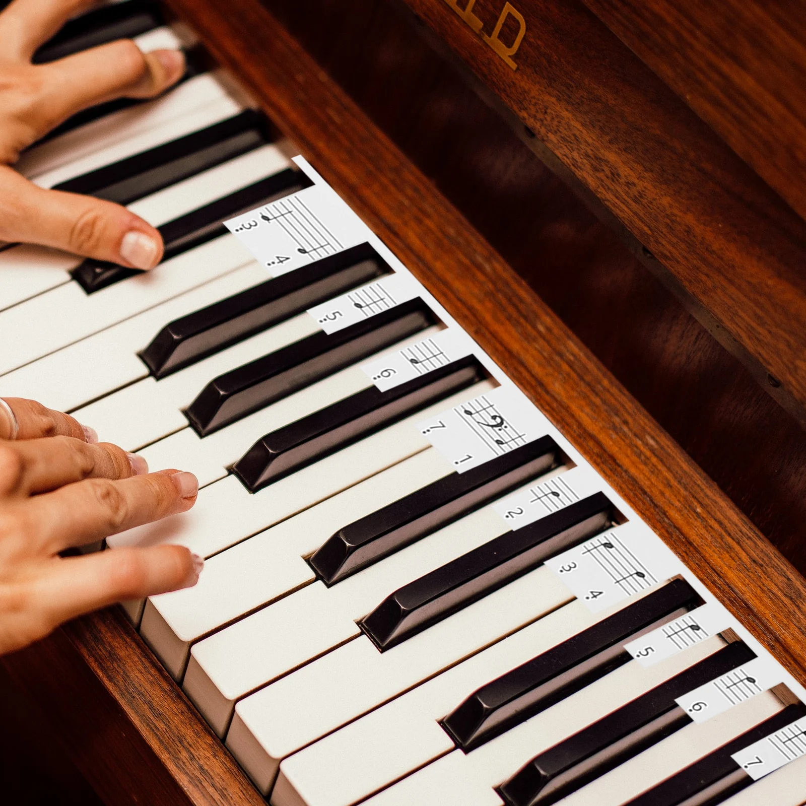 2 Pcs Piano Keyboard Stickers 88 Keys Decal Synthetic Paper Labels No Residue Safe Durable Musical Instrument
2 Pcs Piano Keyboard Stickers 88 Keys Decal Synthetic Paper Labels No Residue Safe Durable Musical Instrument
