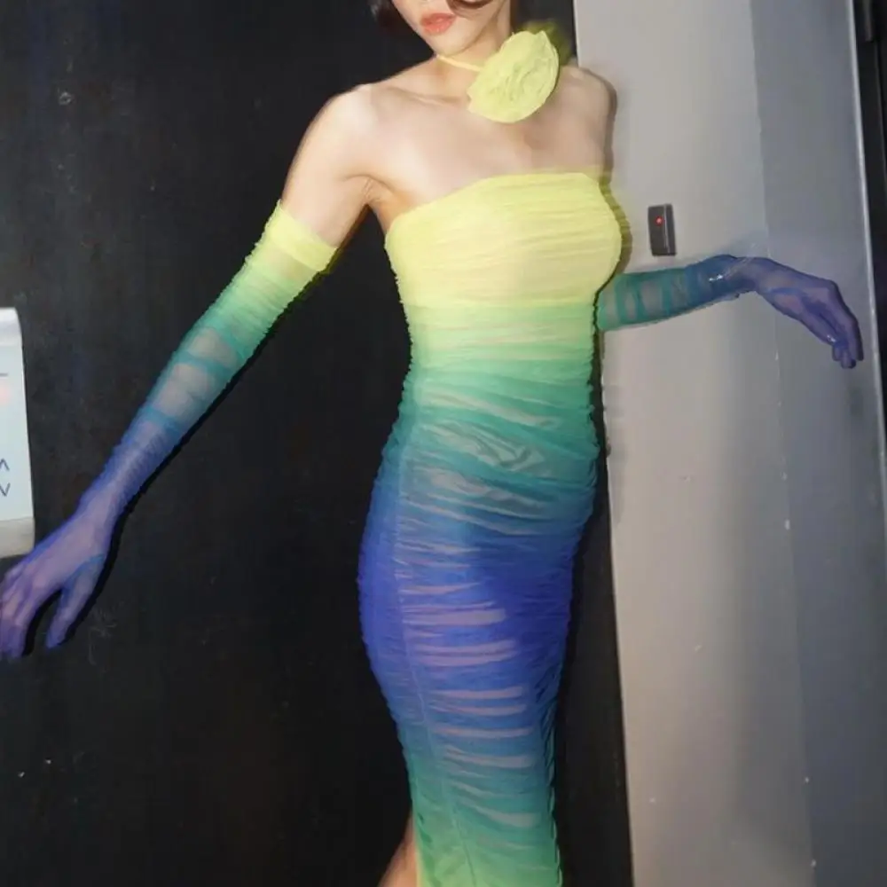 Gradient Mesh Collar Dress Strapless Long Dresses with Gloves Chest Wrap Vestidos Colorful Mid-Calf Skirt for Women Party Club
Gradient Mesh Collar Dress Strapless Long Dresses with Gloves Chest Wrap Vestidos Colorful Mid-Calf Skirt for Women Party Club