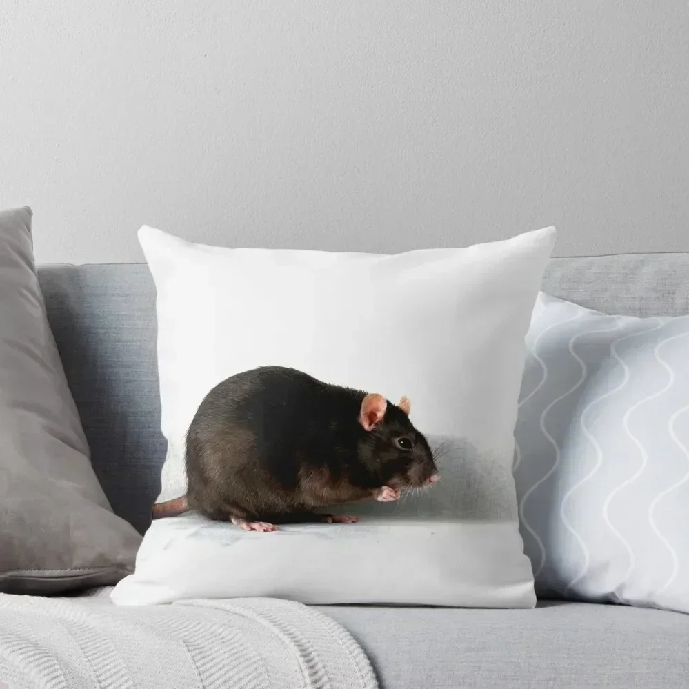 Rat Throw Pillow Christmas s Covers christmas ornaments 2025 Ornamental Pillow ornamental pillows pillow
Rat Throw Pillow Christmas s Covers christmas ornaments 2025 Ornamental Pillow ornamental pillows pillow