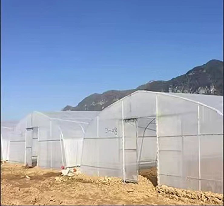 2025Intelligent Multi-Span Agricultural/Commercial Greenhouse with Hydroponics System
2025Intelligent Multi-Span Agricultural/Commercial Greenhouse with Hydroponics System