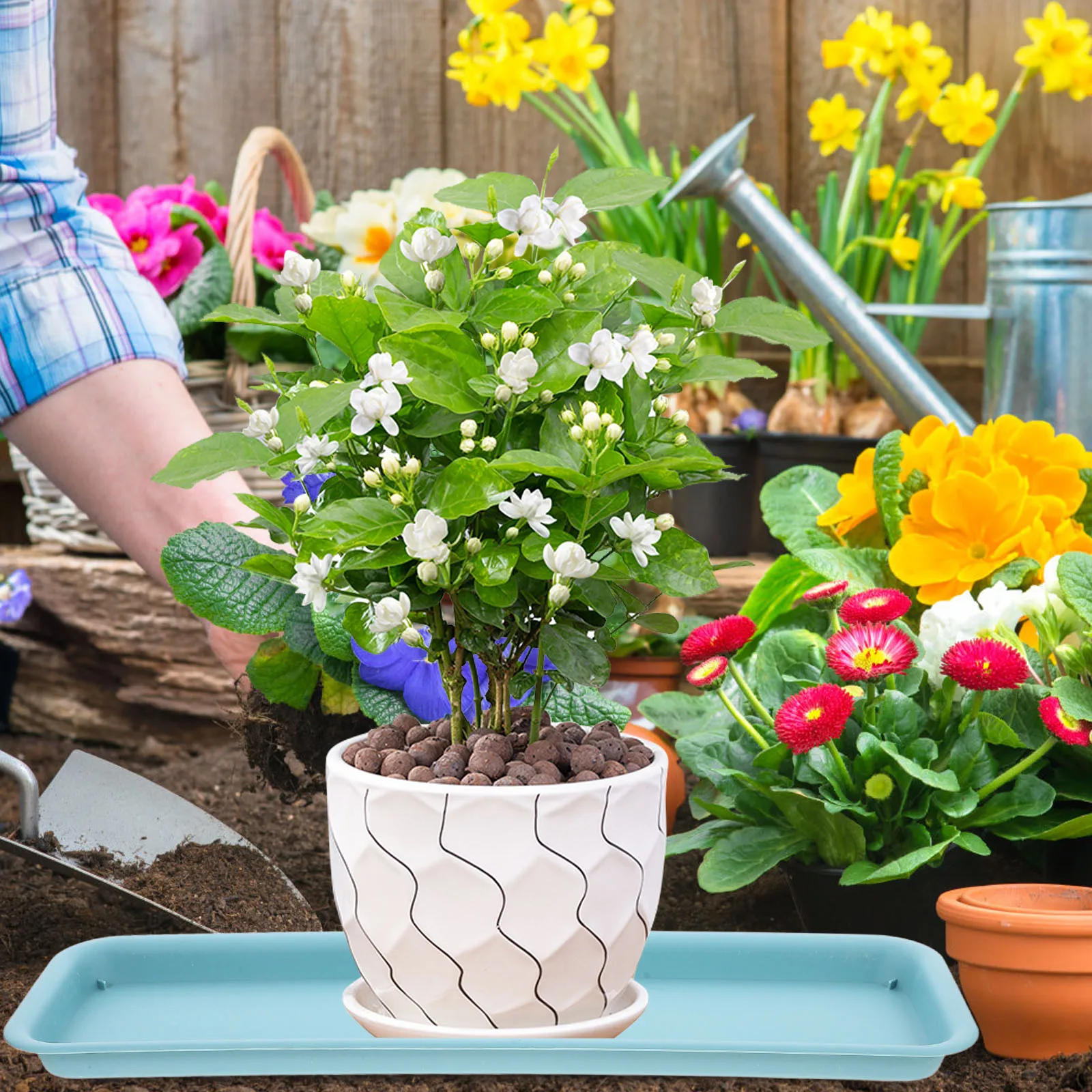 2 Pcs Garden Pot Saucers Flower Tray Plant Household Flowerpot Blue Pp Drip Trays
2 Pcs Garden Pot Saucers Flower Tray Plant Household Flowerpot Blue Pp Drip Trays