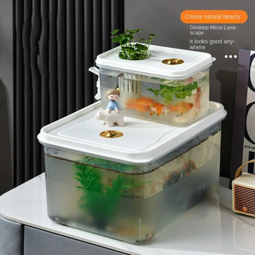 Durable Transparent Fish Tank Plastic Landscaping Desktop Goldfish Bowl Fall Prevention Desktop Hydroponic Ecological Box
Durable Transparent Fish Tank Plastic Landscaping Desktop Goldfish Bowl Fall Prevention Desktop Hydroponic Ecological Box