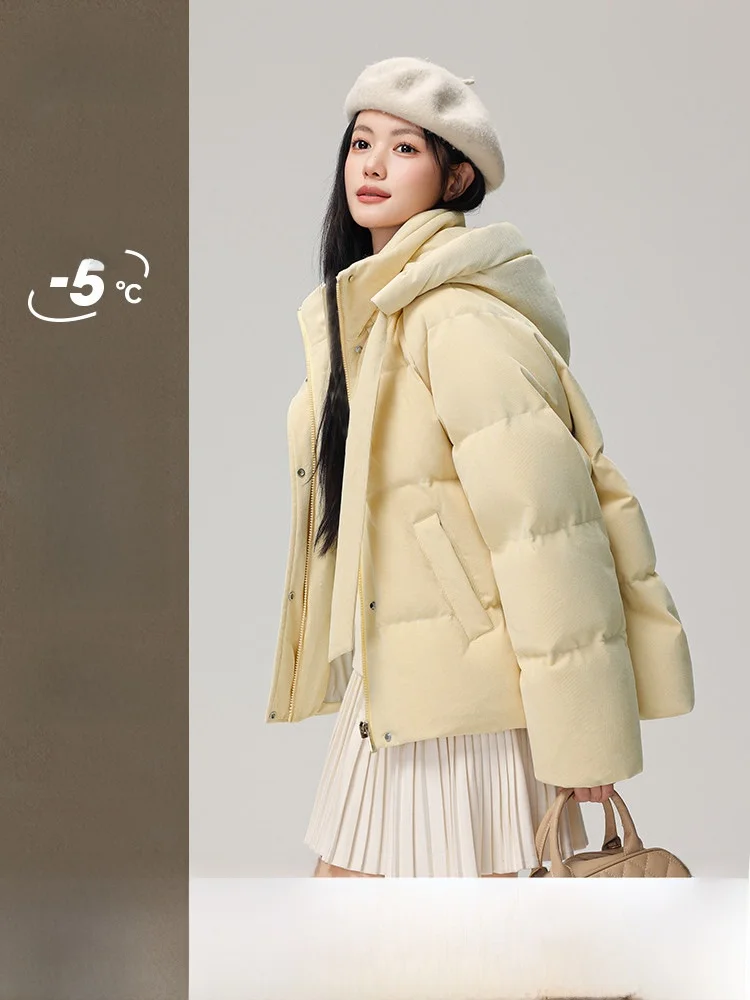 Snow Flying Spring Summer New Retro Short Women's down Jacket with Hood Warmth Elegant Style Polyester Fiber Duck down Filling
Snow Flying Spring Summer New Retro Short Women's down Jacket with Hood Warmth Elegant Style Polyester Fiber Duck down Filling