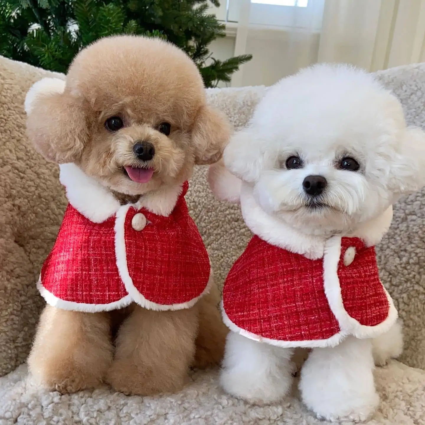Christmas Pet Cape - Plush Hooded Poncho with Ears for Dogs, Cozy Winter Cloak for Maltese & Small Breeds
Christmas Pet Cape - Plush Hooded Poncho with Ears for Dogs, Cozy Winter Cloak for Maltese & Small Breeds
