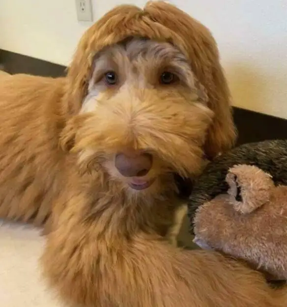 Набор из 5 декоративных элементов для радиоуправляемых машин: бочка для масла, лопата, баллон с азотом для радиоуправляемых краулеров 1/10 SCX10 TRX4
Набор из 5 декоративных элементов для радиоуправляемых машин: бочка для масла, лопата, баллон с азотом для радиоуправляемых краулеров 1/10 SCX10 TRX4