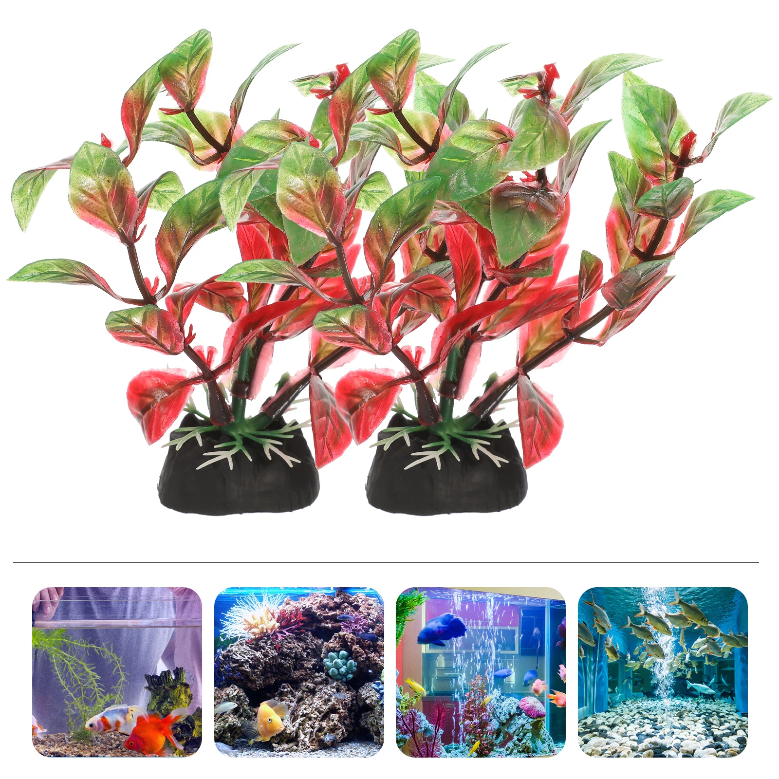 10pcs Aquatic Water Grass Decorations Artificial Fish Tank Plants Aquarium Decor Simulation Plastic Figurines Lifelike
10pcs Aquatic Water Grass Decorations Artificial Fish Tank Plants Aquarium Decor Simulation Plastic Figurines Lifelike