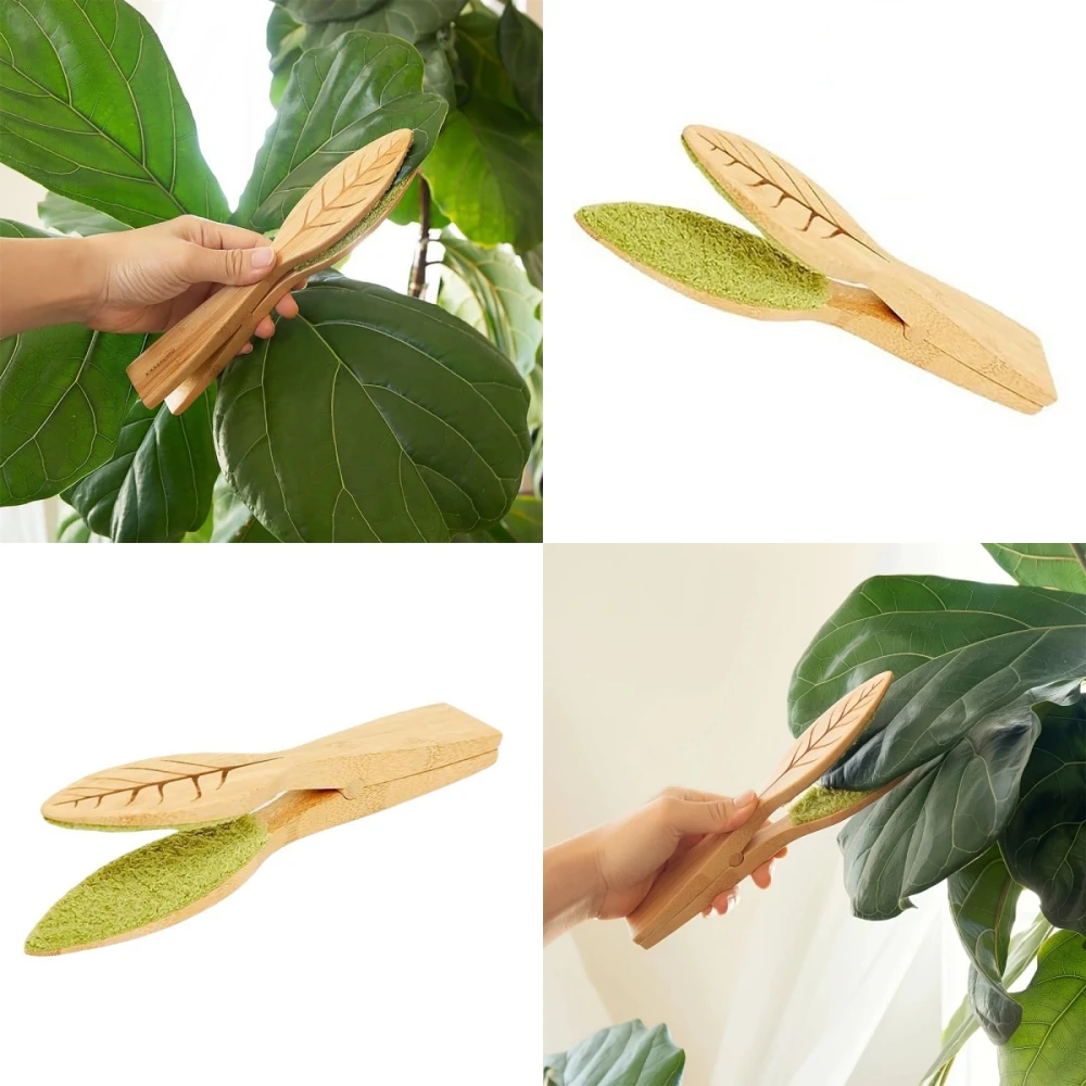 Leaf-Shaped Wooden Ergonomic Handheld Plant Leaves Cleaning Brush Creative Portable Potted Plant Leaf Dust Removal Cleaner
Leaf-Shaped Wooden Ergonomic Handheld Plant Leaves Cleaning Brush Creative Portable Potted Plant Leaf Dust Removal Cleaner