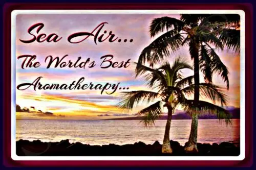 * Воздушная ароматерапия на море * 8X12, любой погоды, металлический знак TIKI BAR LUAU, Морской Декор
* Воздушная ароматерапия на море * 8X12, любой погоды, металлический знак TIKI BAR LUAU, Морской Декор