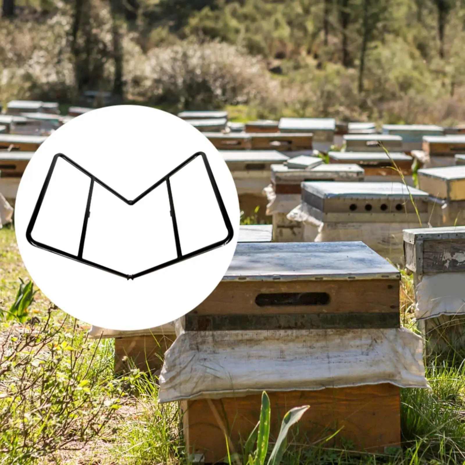 Beekeeping Hive Mover Transfer Hive Rack Beekeepings Tools Support Bracket Sturdy Versatile Wear Resistant Honey Bee Supplies
Beekeeping Hive Mover Transfer Hive Rack Beekeepings Tools Support Bracket Sturdy Versatile Wear Resistant Honey Bee Supplies