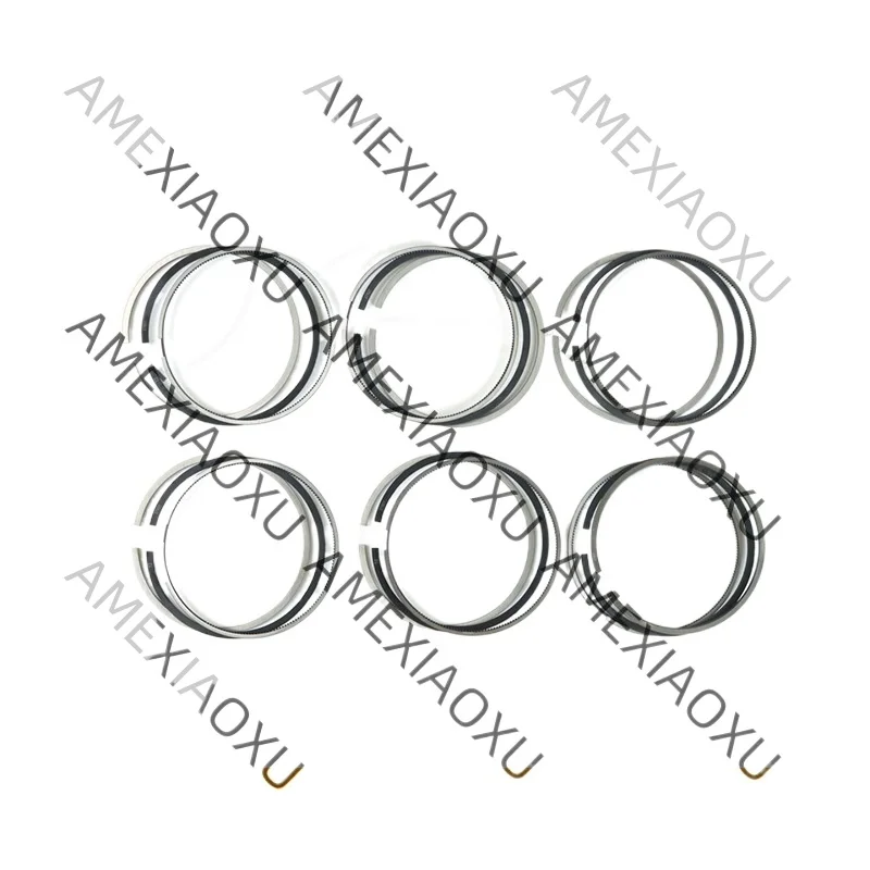 For Land Rover Discovery 3-2.7 L 276DT Engine Piston Ring 81x2.0x2.0x2.0
For Land Rover Discovery 3-2.7 L 276DT Engine Piston Ring 81x2.0x2.0x2.0