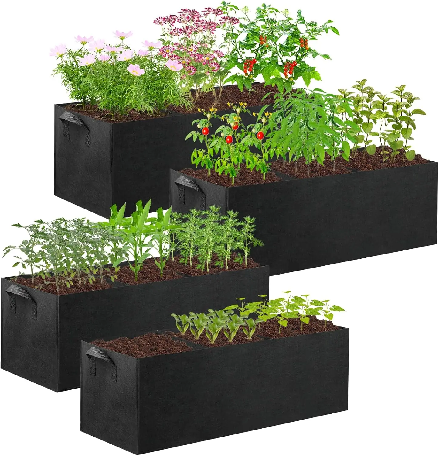 4 Pack Fabric Raised Garden Bed, 22 Gallon 3 Grids Breathable Grow Bags with Handles for Herbs Flowers Vegetables
4 Pack Fabric Raised Garden Bed, 22 Gallon 3 Grids Breathable Grow Bags with Handles for Herbs Flowers Vegetables
