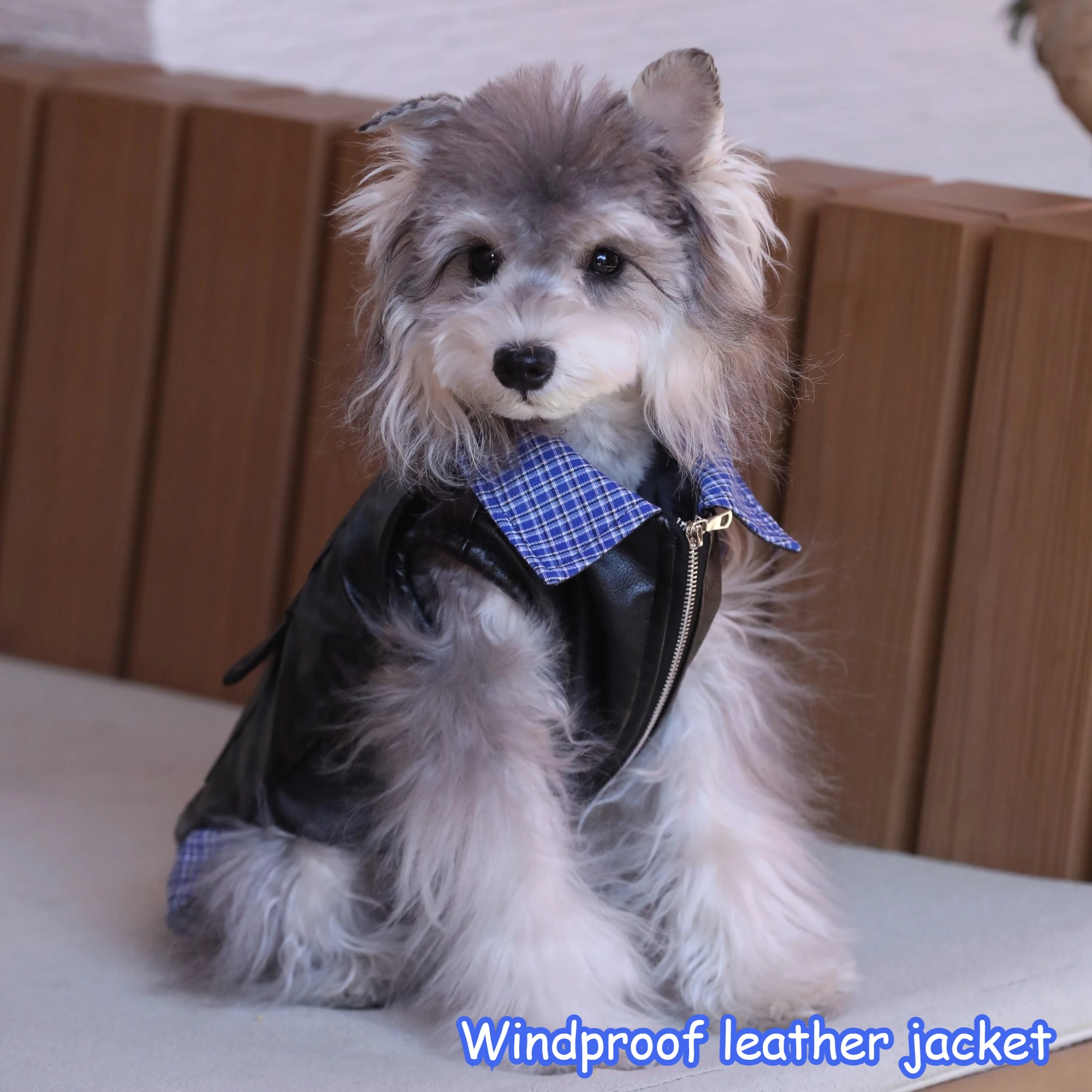 Fashion Dog Leather Vest, New Warm Windproof Pet Jacket, Stylish Dog Clothes for Schnauzer Small Breed Dogs
Fashion Dog Leather Vest, New Warm Windproof Pet Jacket, Stylish Dog Clothes for Schnauzer Small Breed Dogs